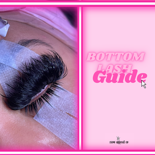 Bottom Lash Guide